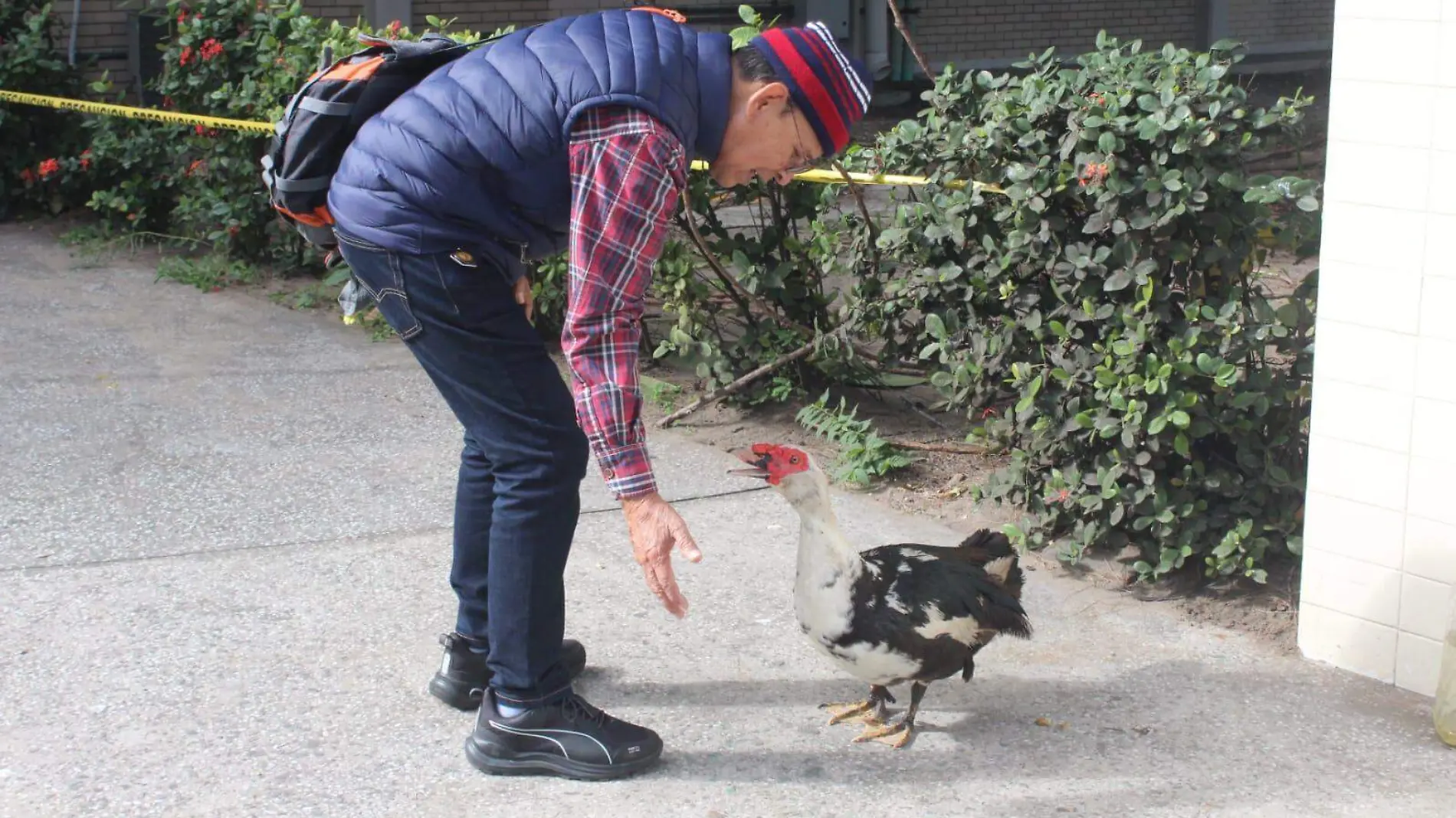 Pato se apropia de la facultad de Educación Física de la UV